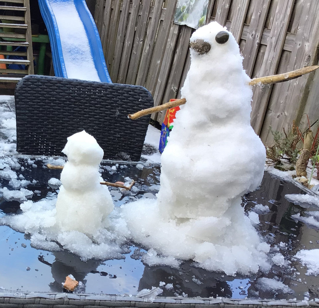 The Snowman That Taught Me About Life